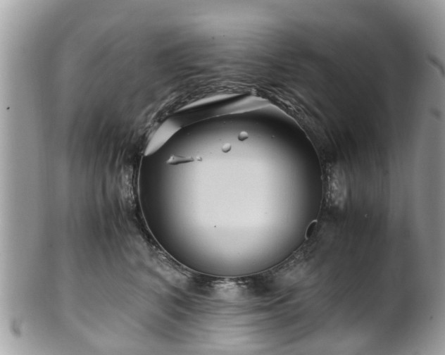 X0000101170616200807071223