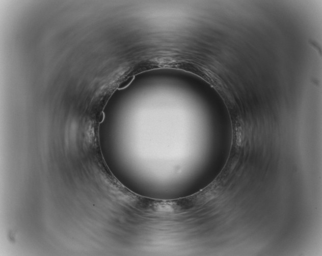 X0000101170618200807071223