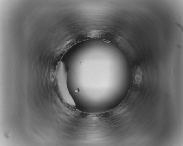 X0000101170620200807071223