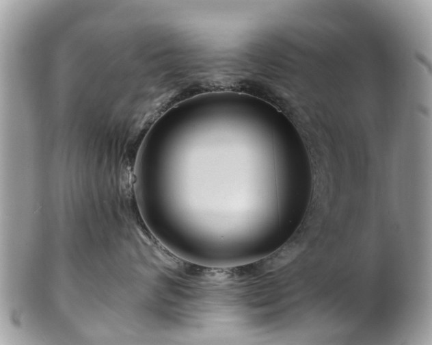 X0000101170624200807071223