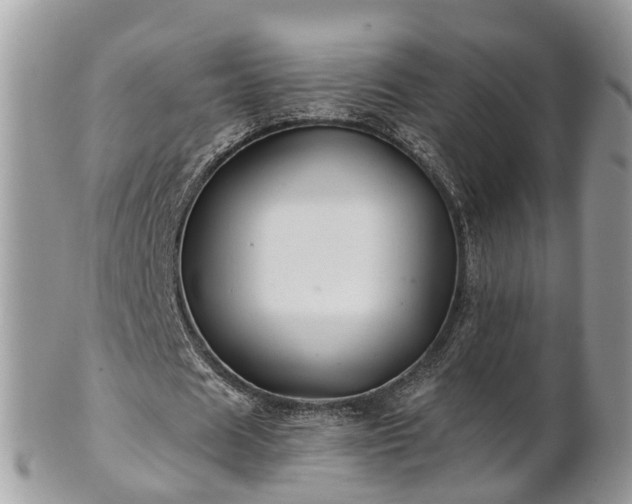 X0000101170625200807071222