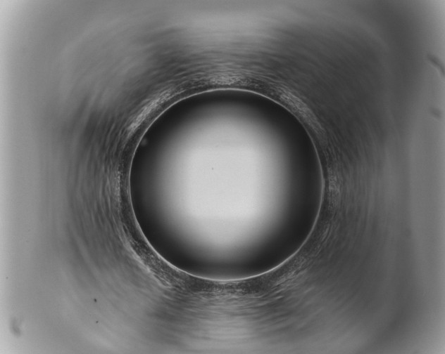 X0000101170626200807071222