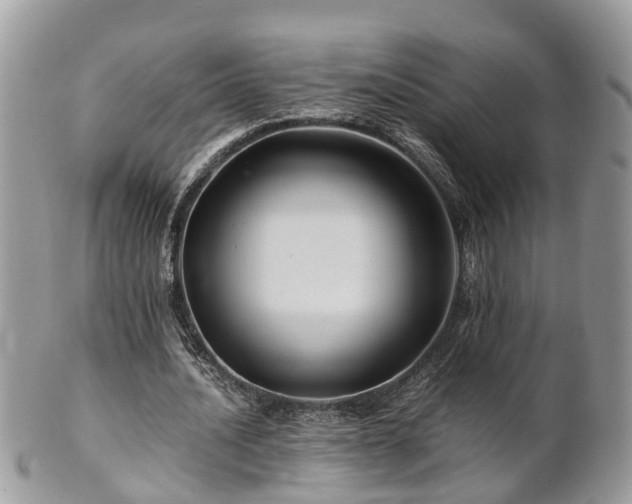 X0000101170628200807071222