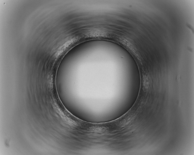 X0000101170629200807071222