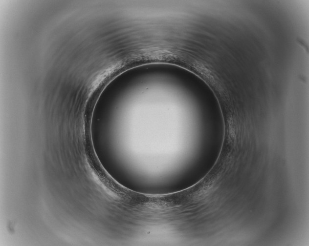 X0000101170630200807071222