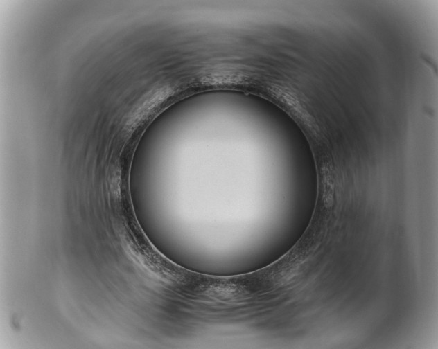 X0000101170631200807071222