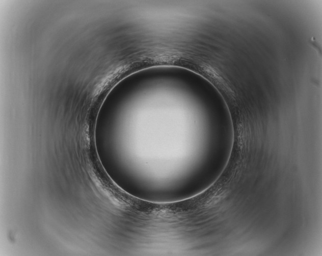X0000101170634200807071222
