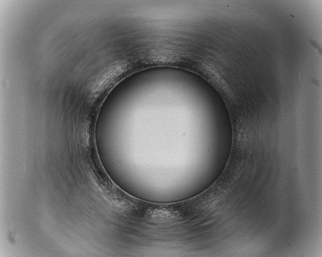 X0000101170635200807071222