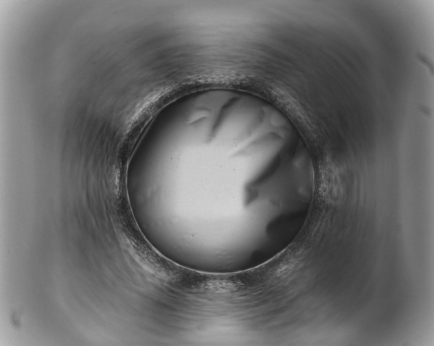 X0000101170636200807071222