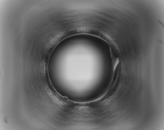 X0000101170637200807071222