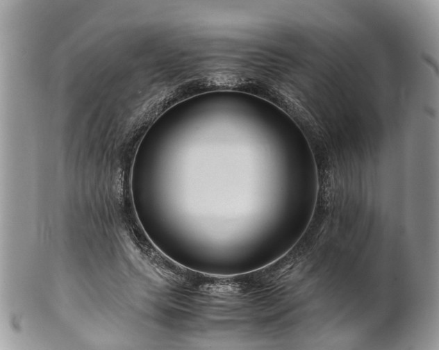 X0000101170639200807071222
