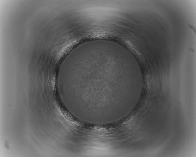 X0000101170640200807071222