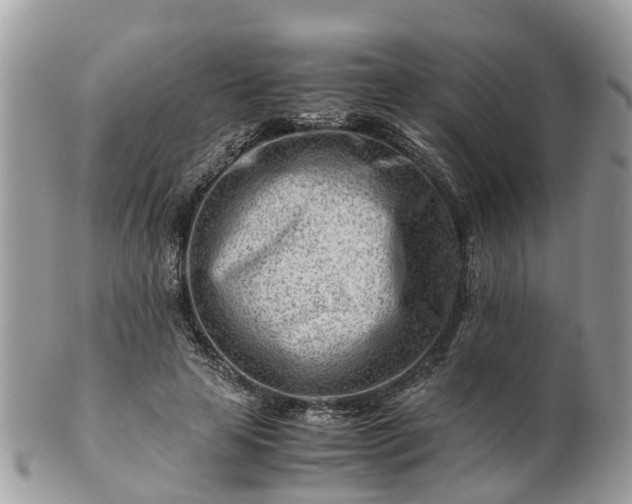 X0000101170641200807071222