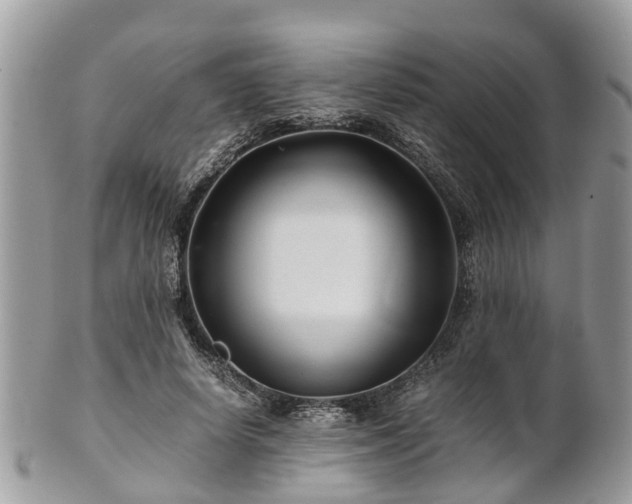 X0000101170642200807071222