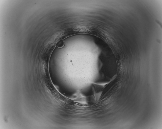 X0000101170643200807071222