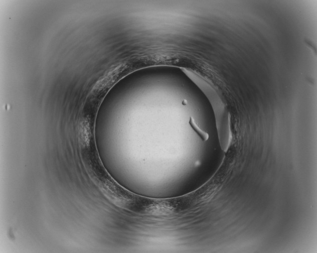 X0000101170644200807071222