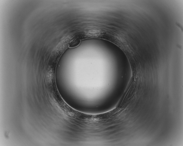 X0000101170647200807071222
