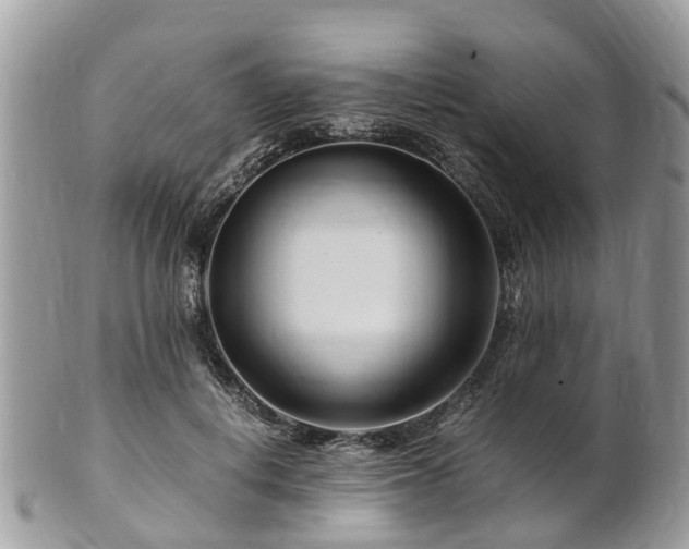 X0000101170648200807071222