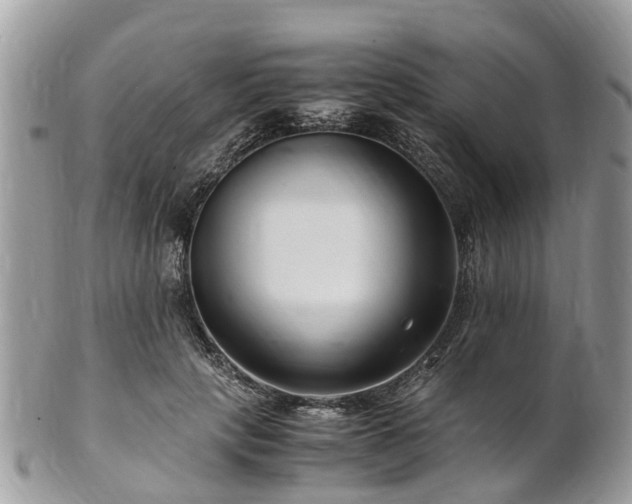 X0000101170649200807071222