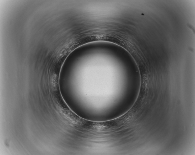 X0000101170650200807071222