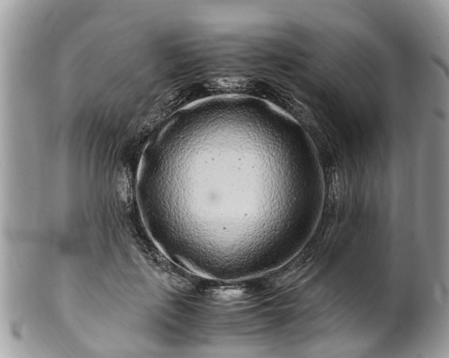 X0000101170651200807071222