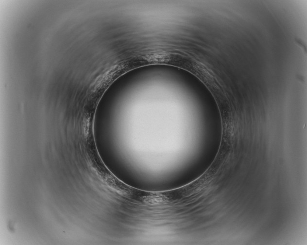 X0000101170652200807071222