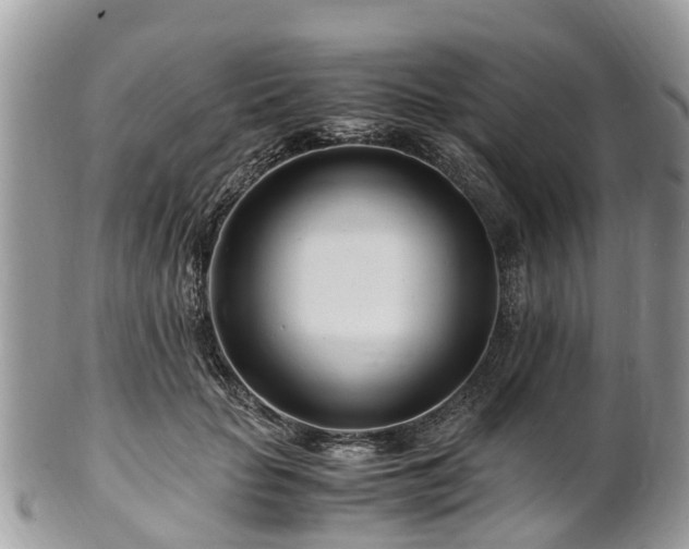 X0000101170653200807071222