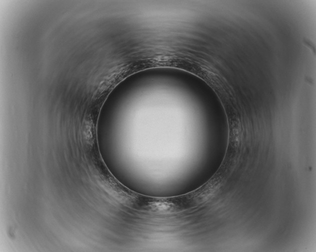 X0000101170654200807071222