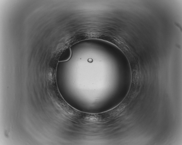 X0000101170655200807071222
