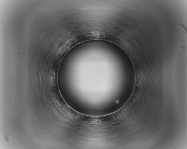 X0000101170656200807071222