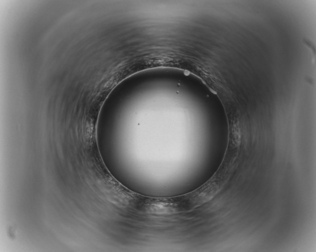 X0000101170657200807071222