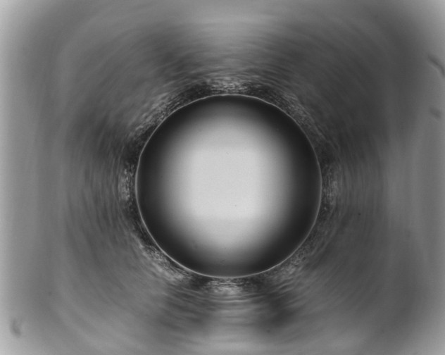 X0000101170658200807071222