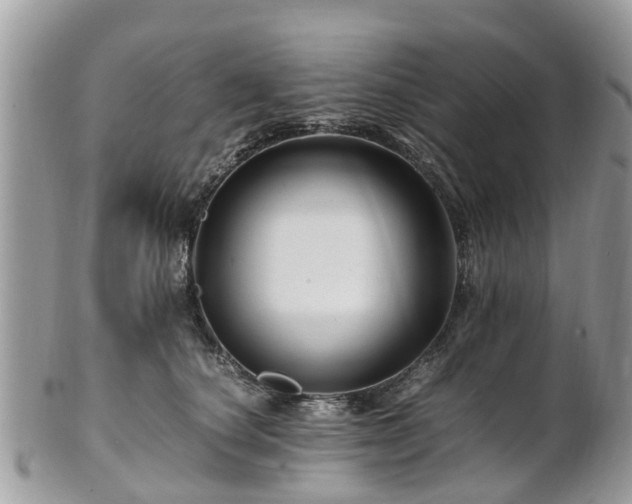X0000101170660200807071223