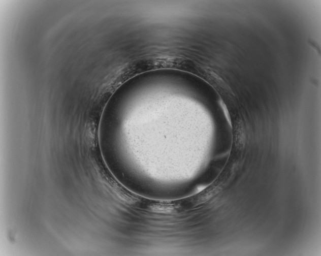X0000101170661200807071223