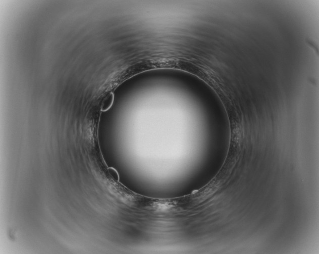 X0000101170662200807071223