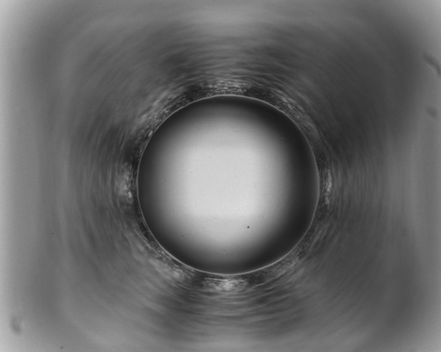 X0000101170663200807071223