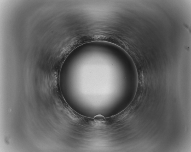 X0000101170664200807071223