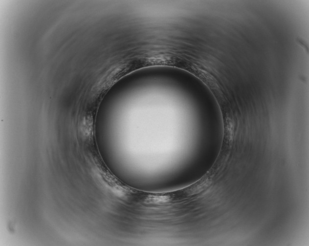 X0000101170665200807071223