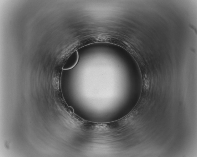 X0000101170666200807071223