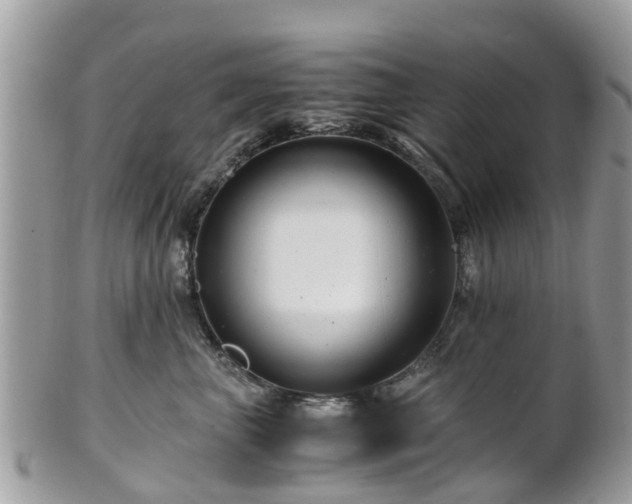 X0000101170667200807071223