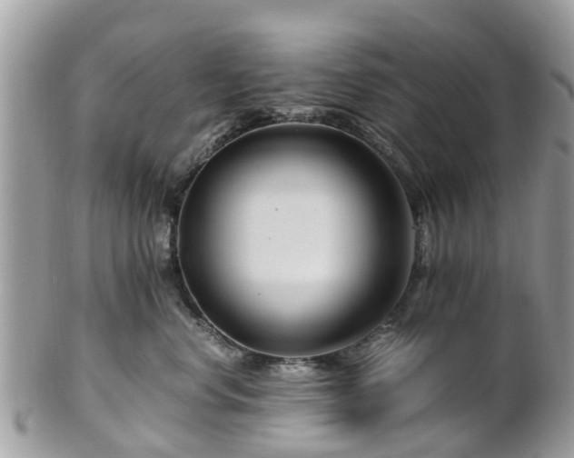 X0000101170668200807071223