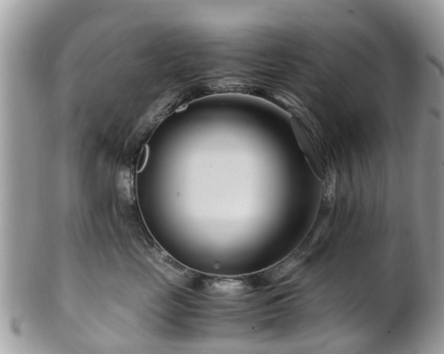 X0000101170669200807071223
