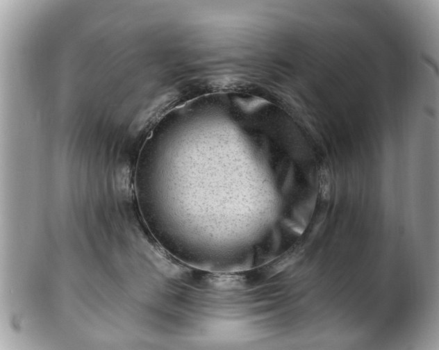 X0000101170670200807071223