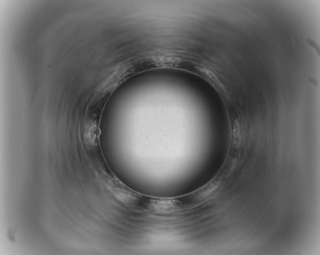 X0000101170671200807071223