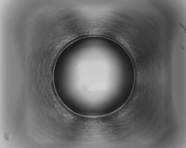 X0000101170673200807071222