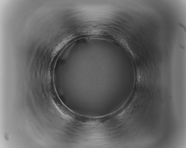 X0000101170674200807071222