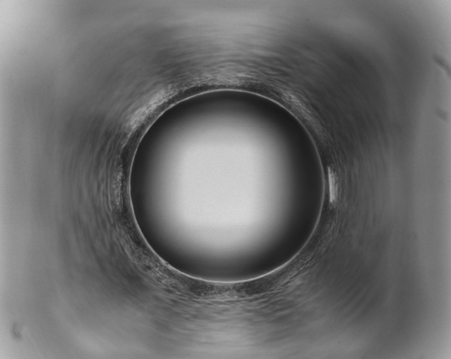 X0000101170675200807071222