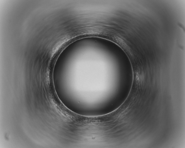 X0000101170676200807071222