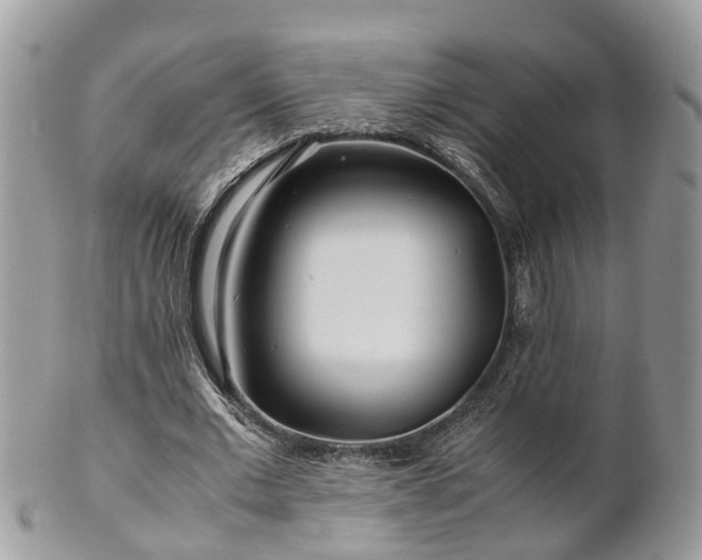X0000101170677200807071222