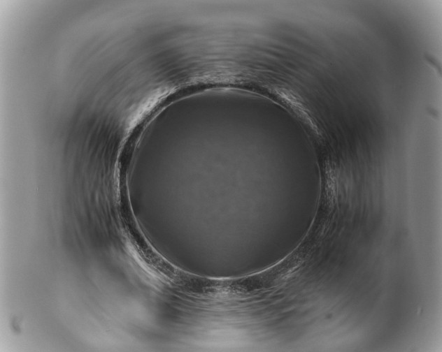 X0000101170678200807071222